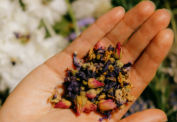 Hand holding dried flowers with a blurred floral background