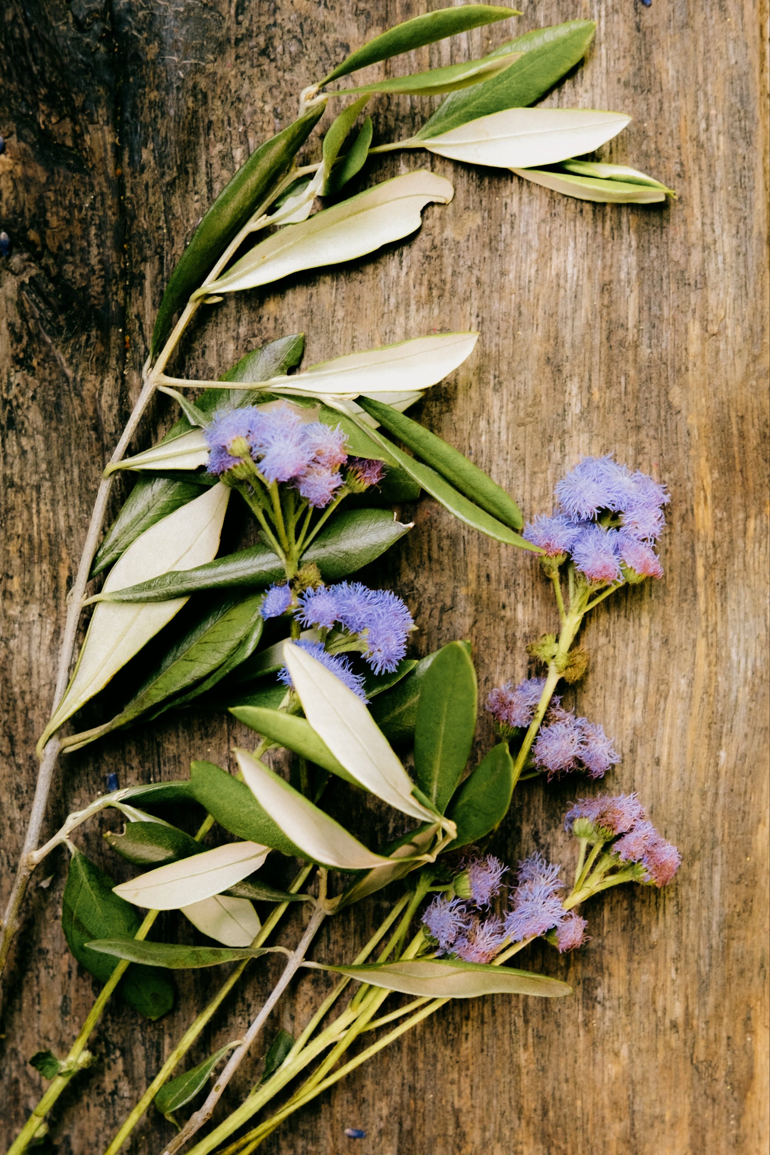 Bouquet of purple flowers and green leaves on a wooden surface